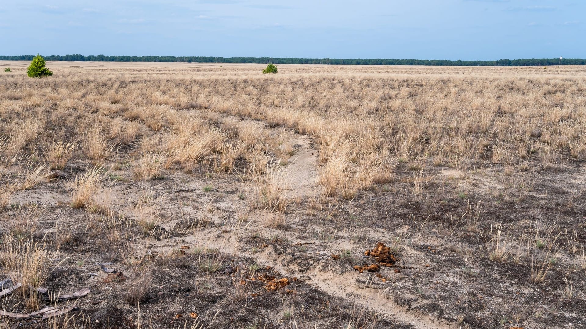 In der Region sind Trockenheit und Hitze ein Problem: Aber die Wüste entstand nicht aufgrund des Klimawandels.