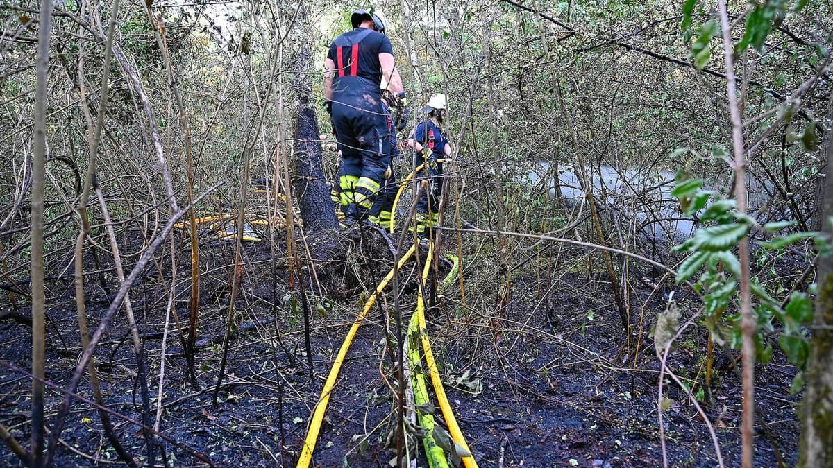 Foto der Feuerwehr vom Einsatzort: Die Retter hatten Mühe, den Brandherd zu erreichen. Foto der Feuerwehr vom Einsatzort: Die Retter hatten Mühe, den Brandherd zu erreichen.