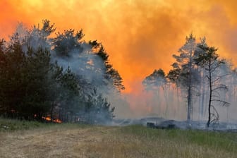 Waldbrand in Mecklenburg-Vorpommern: Rauch und Flammen steigen in den Himmel aus einem Waldgebiet.