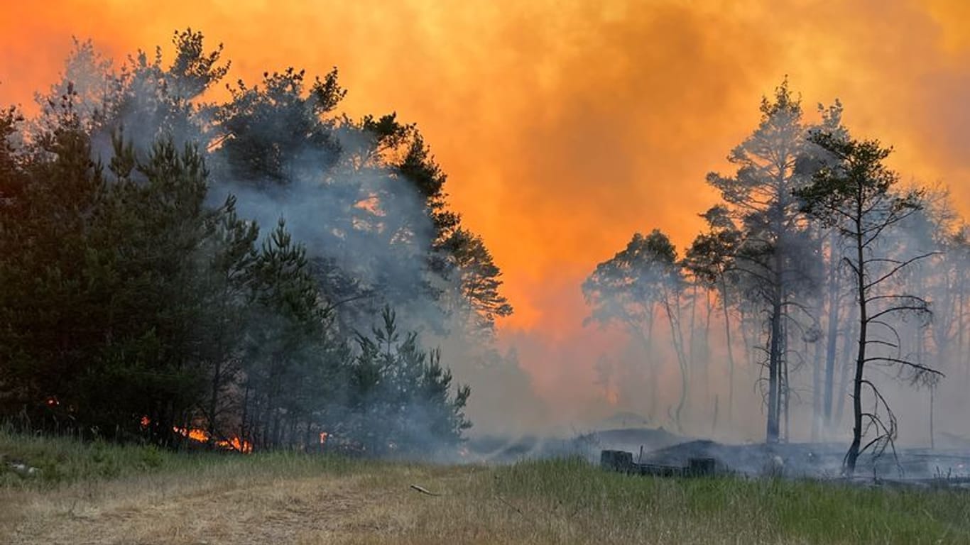 Waldbrand in Mecklenburg-Vorpommern: Rauch und Flammen steigen in den Himmel aus einem Waldgebiet.