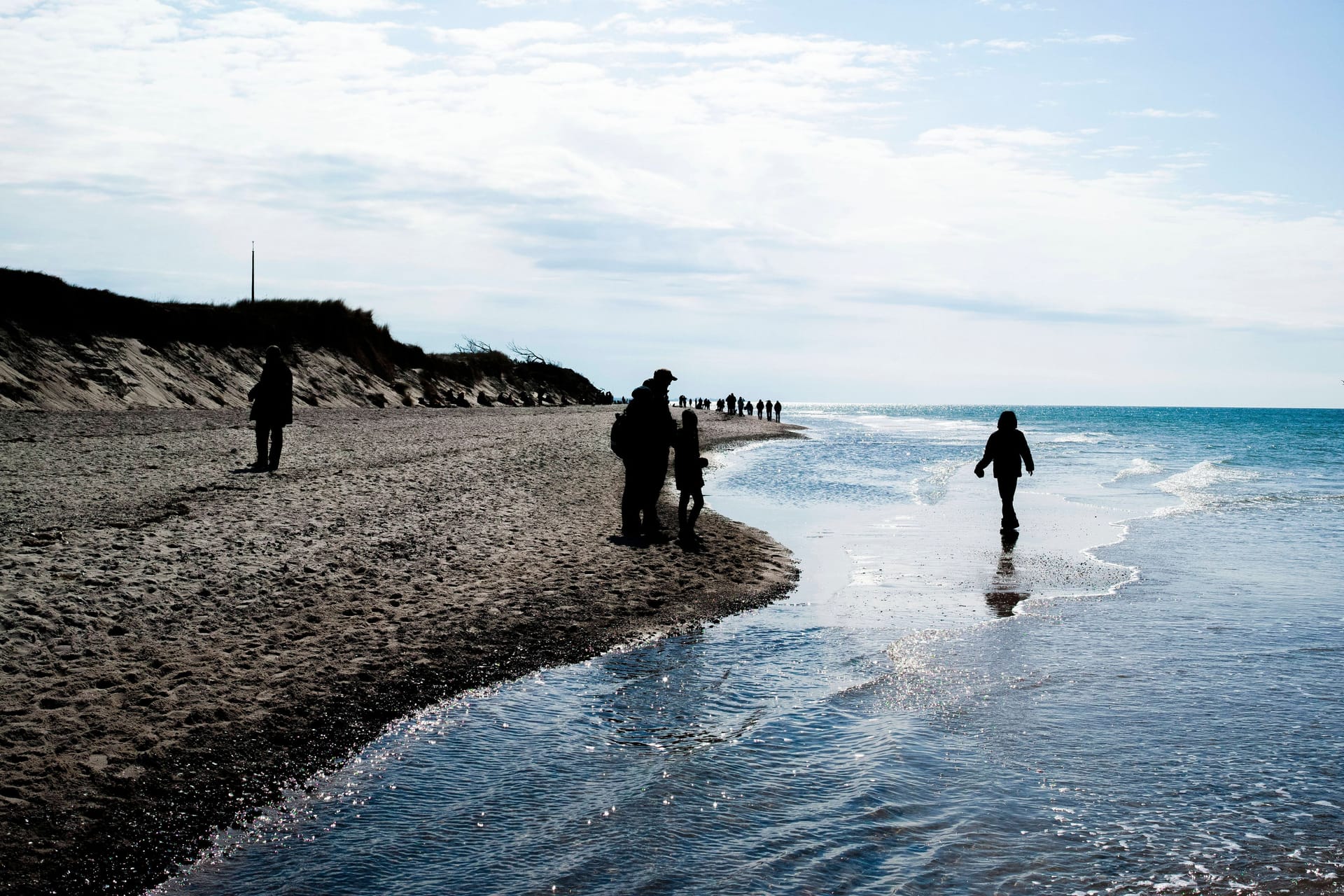 Naturschutzgebiet an der Ostsee zwischen Prerow und dem Darsser Ort.