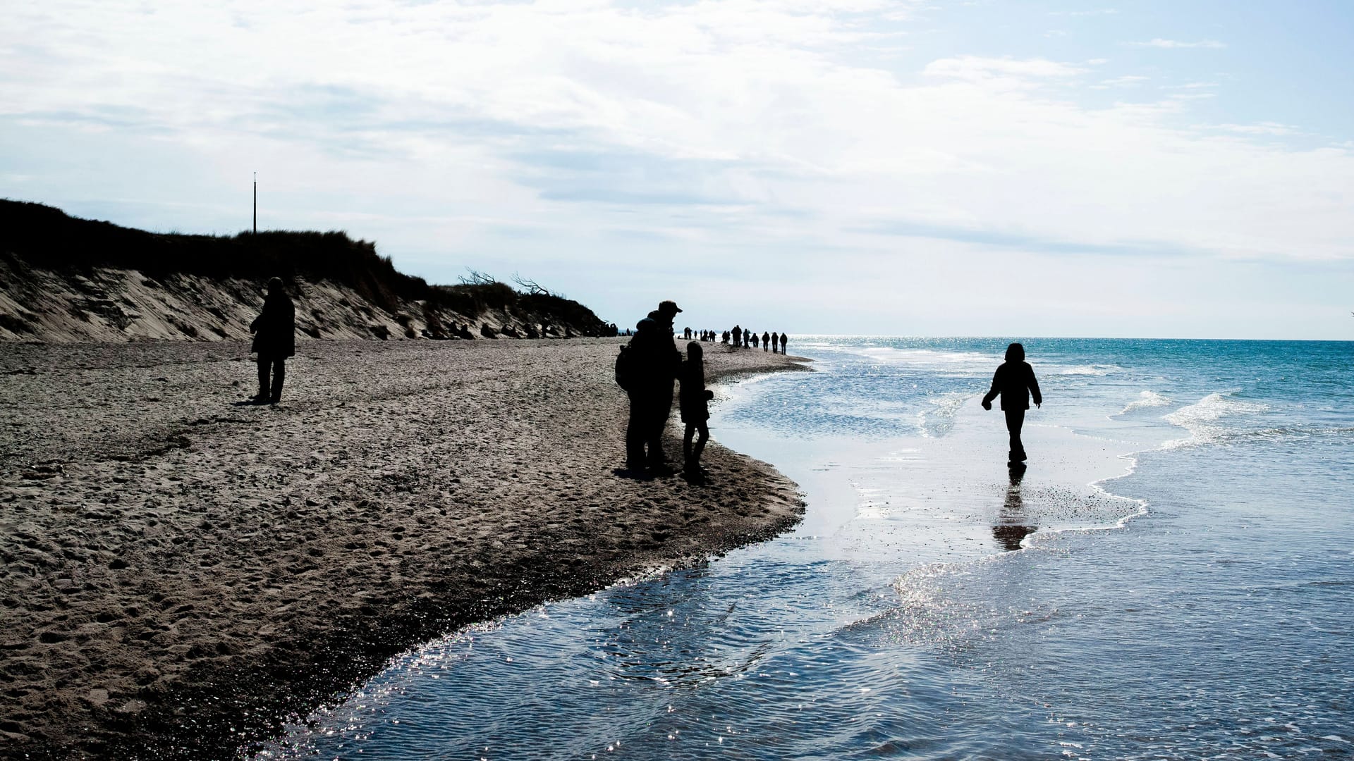 Naturschutzgebiet an der Ostsee zwischen Prerow und dem Darsser Ort.