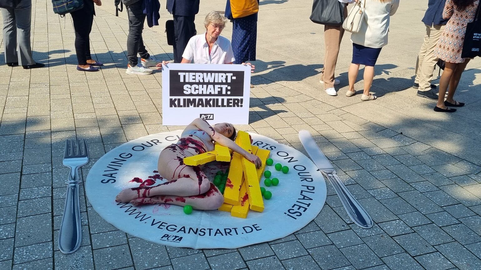 Eine halbnackte Frau von Peta protestiert als "blutiges Steak" auf dem Platz der Vereinten Nationen in Bonn.