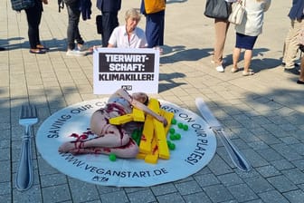 Eine halbnackte Frau von Peta protestiert als "blutiges Steak" auf dem Platz der Vereinten Nationen in Bonn.