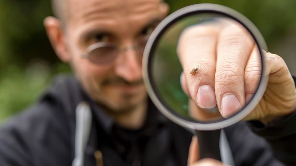 (Kriminal-)Biologe Mark Benecke: Er hat eine große Leidenschaft für Insekten.