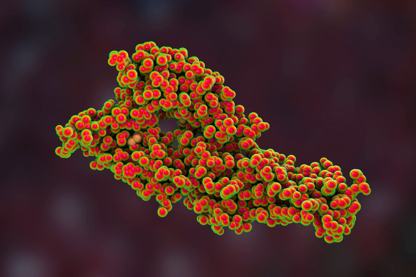 Animation der Molekularstruktur des Hantavirus: Zuletzt war der Landkreis 2019 von einem starken Ausbruch betroffen.