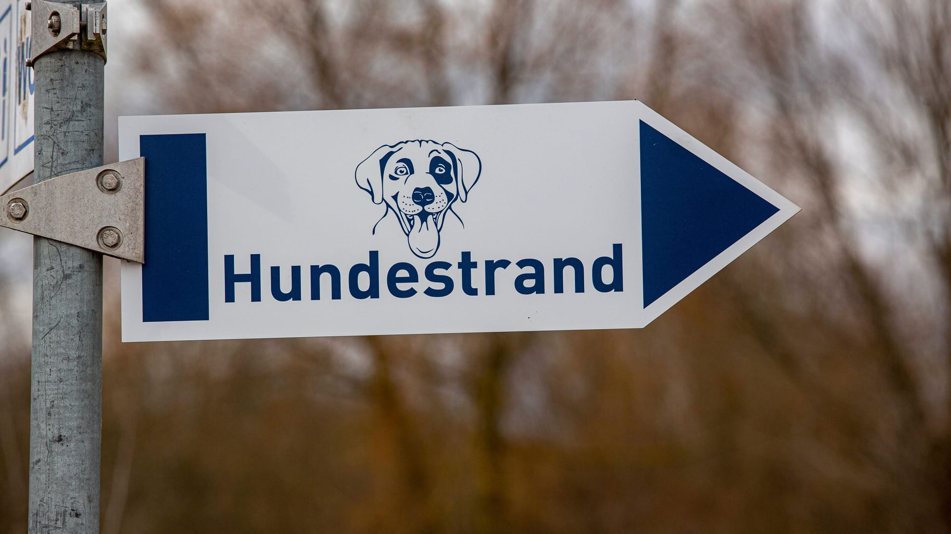 Hundestrand: In Travemünde gibt es sogar einen eigenen Steg für die Tiere.