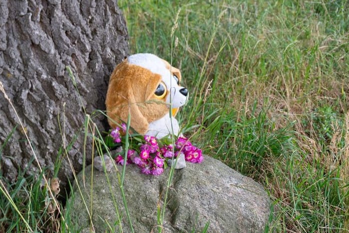 Toppenstedt: Blumen und ein Kuscheltier an einem Baum nahe der Unfallstelle.