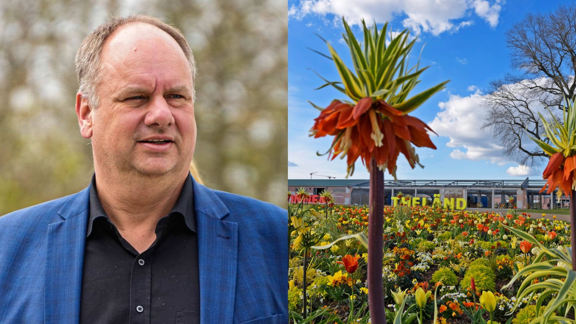 Dresdens Oberbürgermeister Dirk Hilbert (FDP), Pflanzen bei der Bundesgartenschau in Mannheim. Dresdens Oberbürgermeister Dirk Hilbert (FDP), Pflanzen bei der Bundesgartenschau in Mannheim.