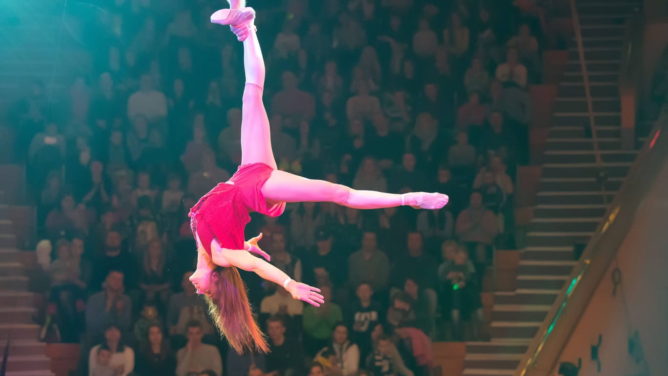 Akrobatin in einem Zirkus (Symbolbild): Die Zirkusartistin stürzte in die Tiefe.