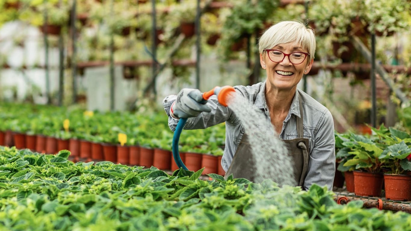 Rentnerin arbeitet in einer Gärtnerei: Für Ältere bieten sich seit 2023 neue Verdienstchancen.