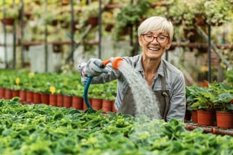 Rentnerin arbeitet in einer Gärtnerei: Für Ältere bieten sich seit 2023 neue Verdienstchancen.