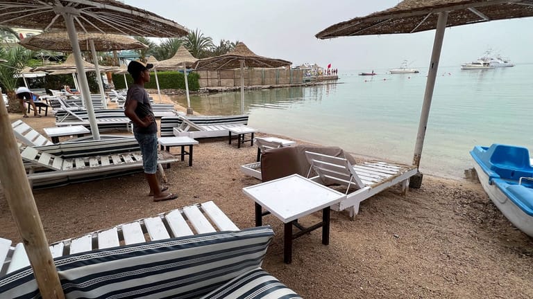 HaiAttacke in Ägypten Kopf und Rumpf von Mann in Magen des Tiers gefunden