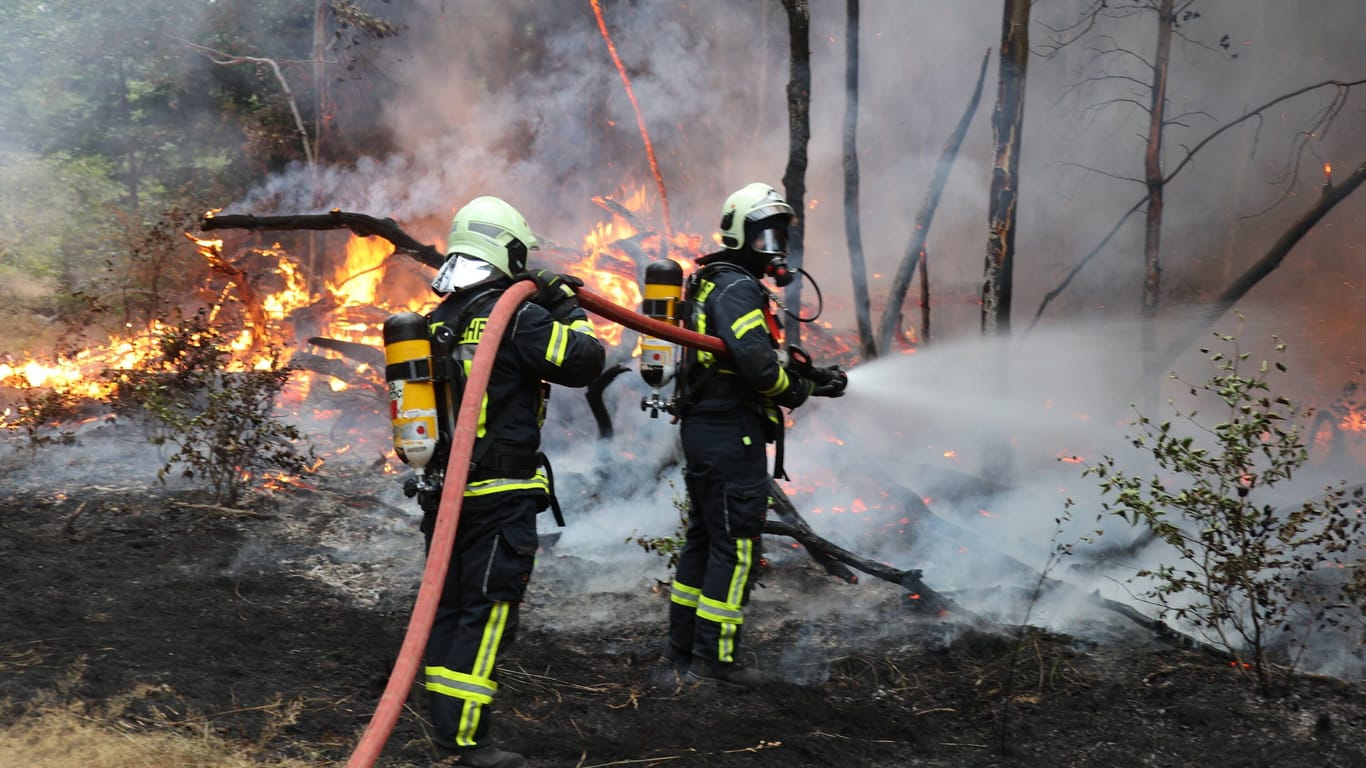Feuerwehrleute im Saarland löschen einen Waldbrand (Archivbild): Die Feuer sind immer von Menschen verursacht, sagt ein Experte.