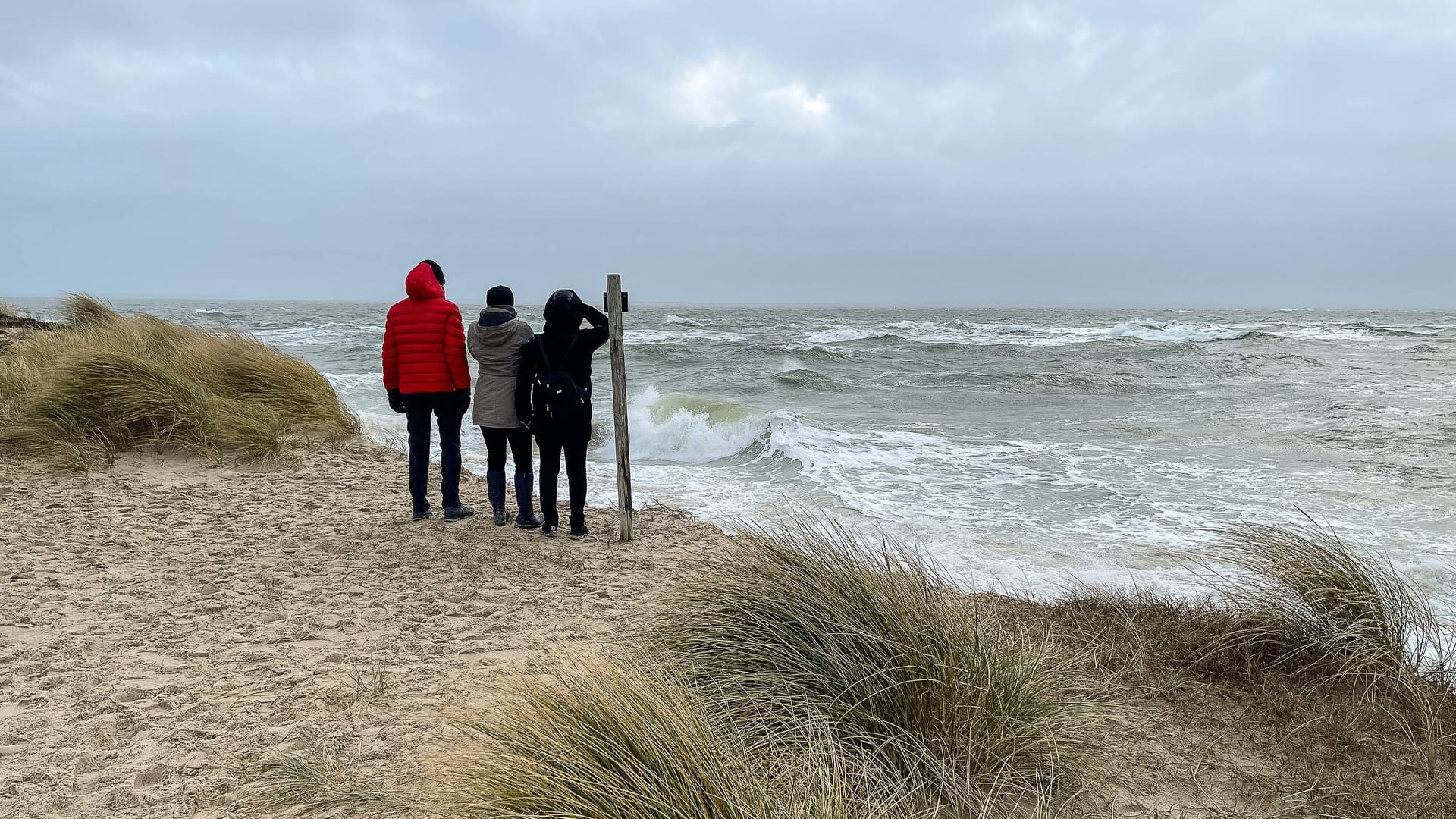 Touristen blicken auf Meer der Nordseeinsel Sylt (Symbolbild): Im September ist die große Schulreise.