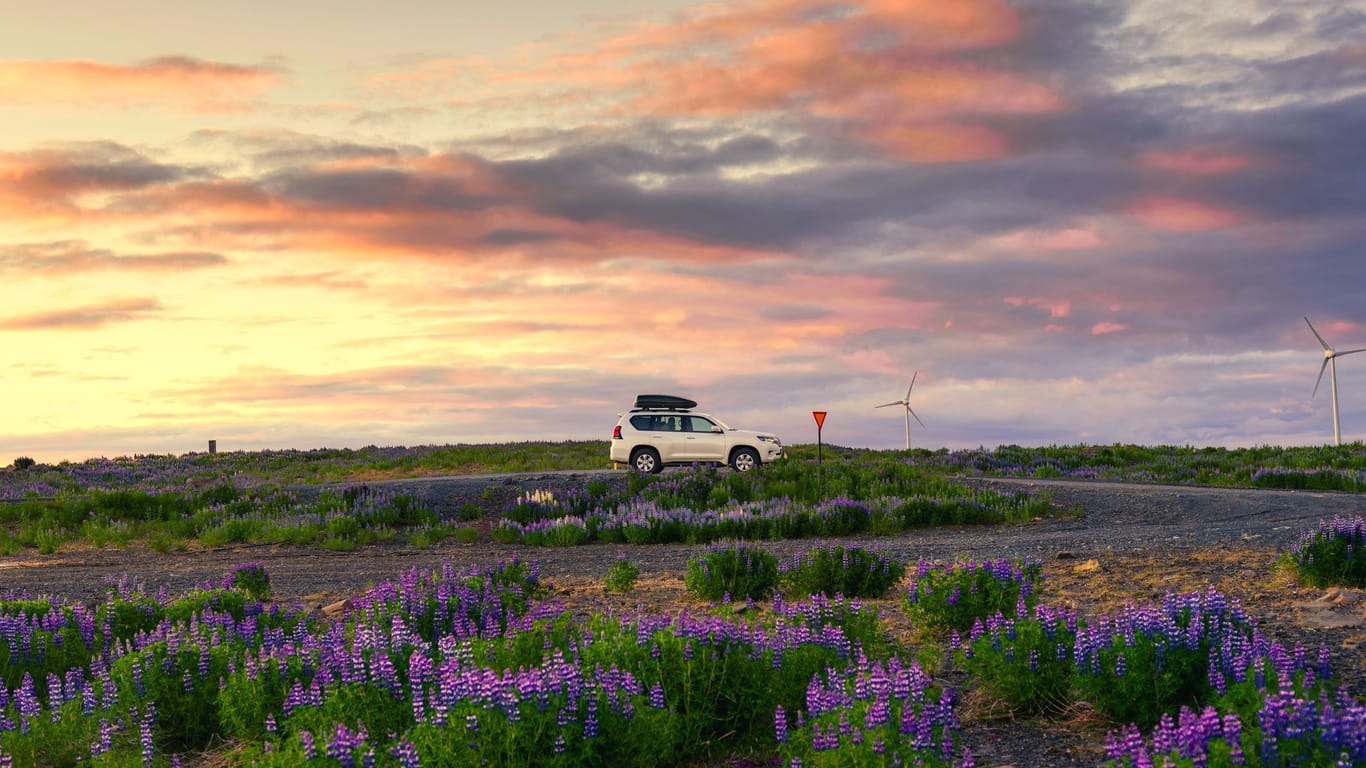 Auto parkt im isländischen Hochland (Symbolbild): Eine Reiserücktrittsversicherung kann Ihnen Stornogebühren ganz oder teilweise erstatten.