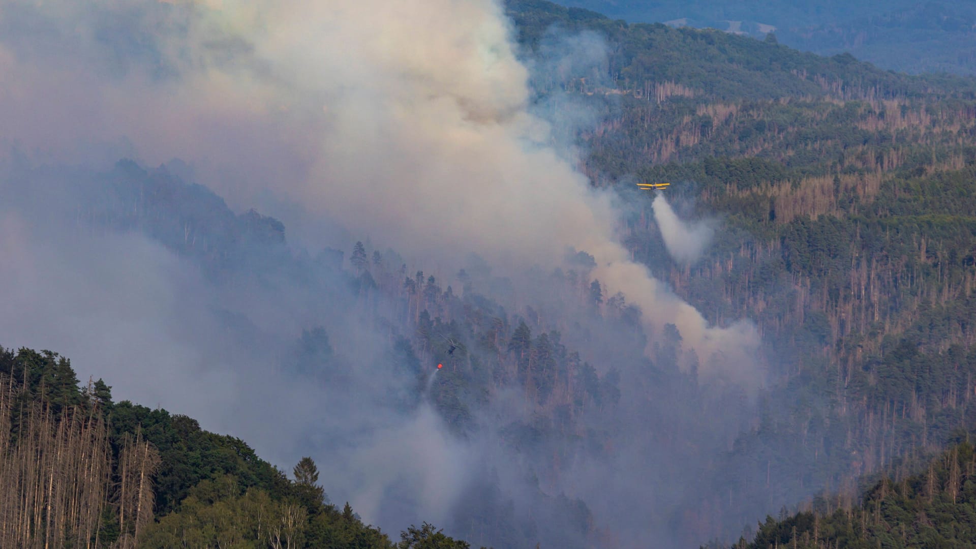 Einsatz in der Böhmischen Schweiz (Archivbild): Das Naturschutzgebiet war aufgrund von Totholz nur schwer begehbar für die Feuerwehr, berichtet Cimolino.