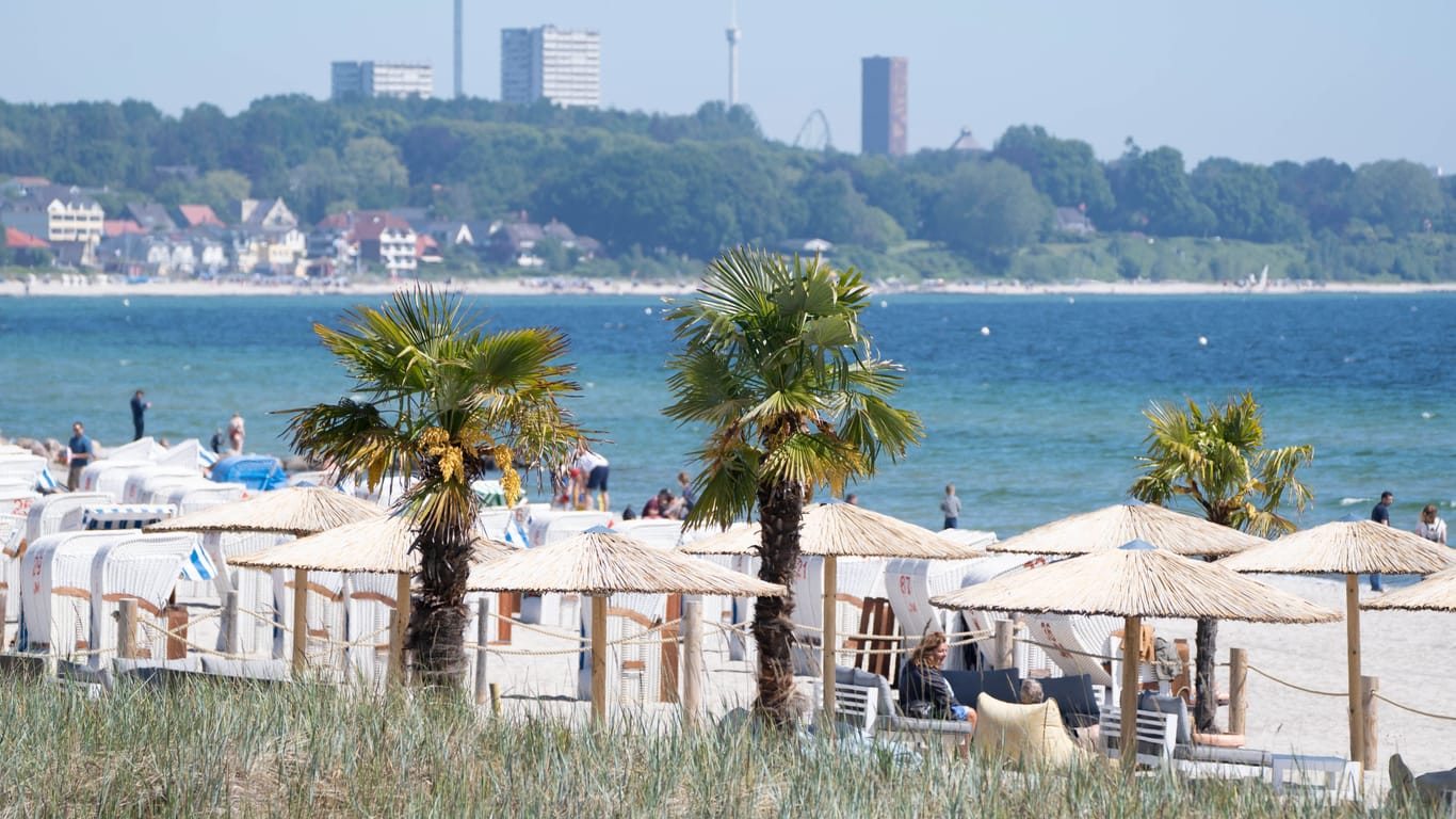 Palmen am Strand bei Scharbeutz in der Lübecker Bucht: Die Bäume sollen für Südseegefühl an der Ostsee sorgen.