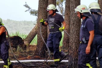Feuerwehrleute löschen Glutnester. In der Nähe von Bad Belzig (Potsdam-Mittelmark) ist ein etwa fünf Hektar großes Waldstück in Brand geraten.
