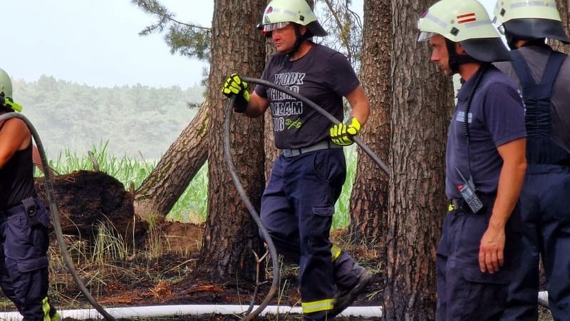 Feuerwehrleute löschen Glutnester. In der Nähe von Bad Belzig (Potsdam-Mittelmark) ist ein etwa fünf Hektar großes Waldstück in Brand geraten. Feuerwehrleute löschen Glutnester. In der Nähe von Bad Belzig (Potsdam-Mittelmark) ist ein etwa fünf Hektar großes Waldstück in Brand geraten.