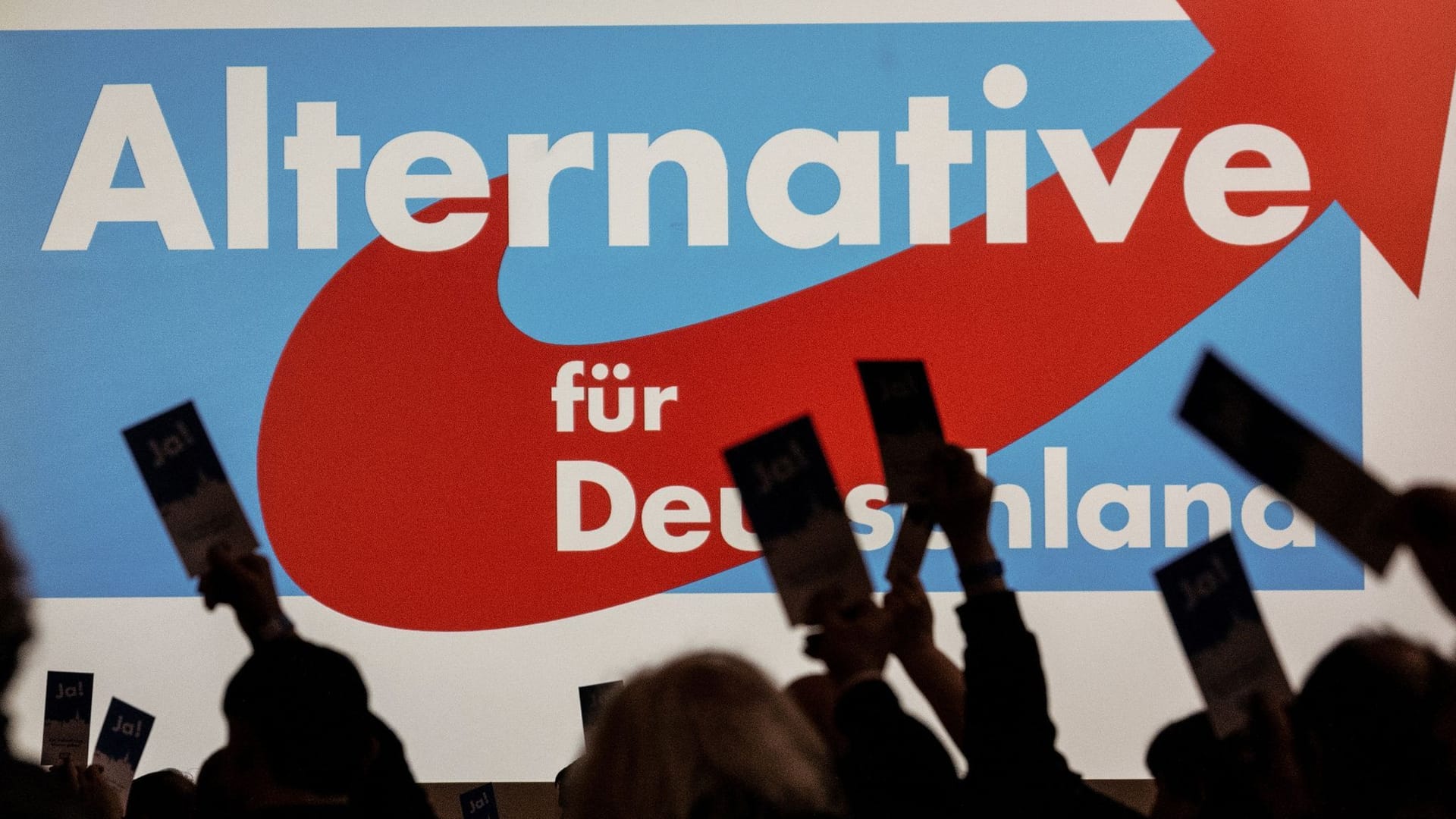 AfD AfD