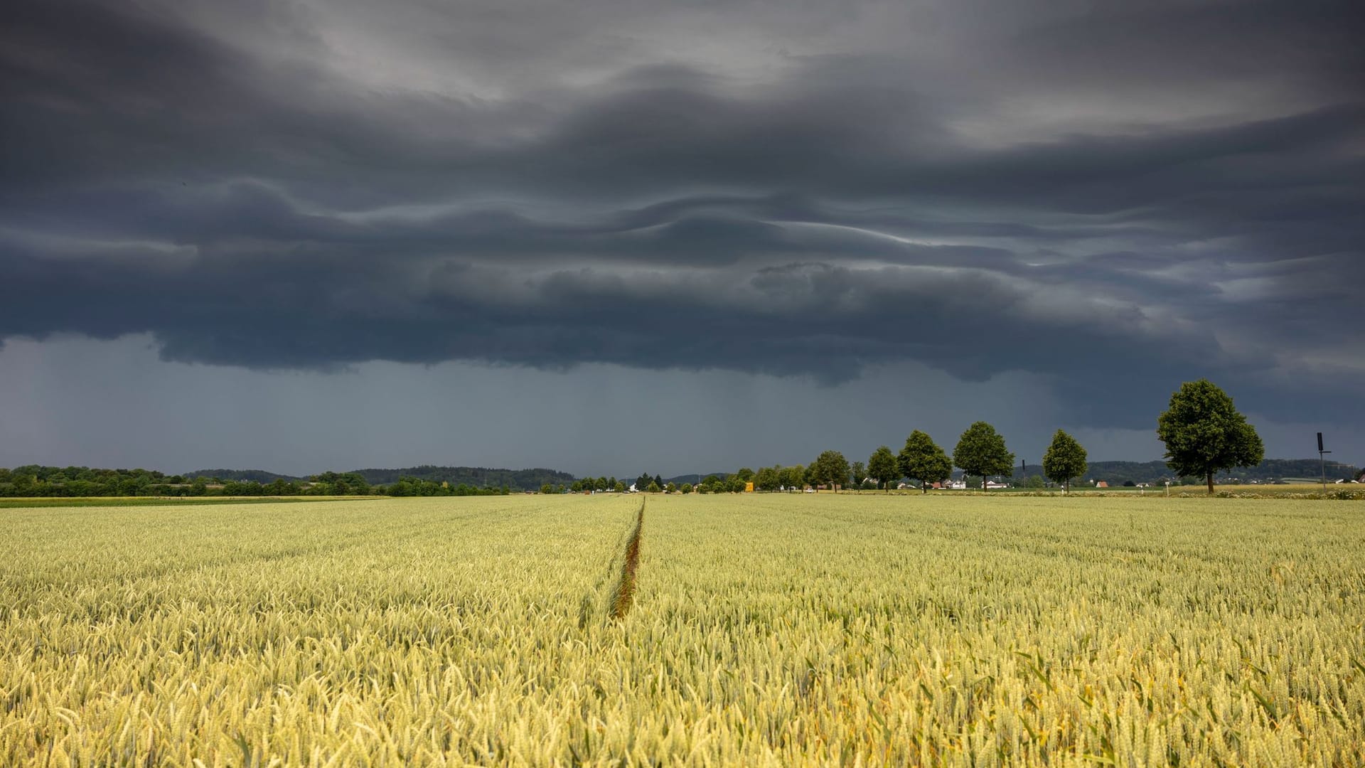 Gewitterwolken