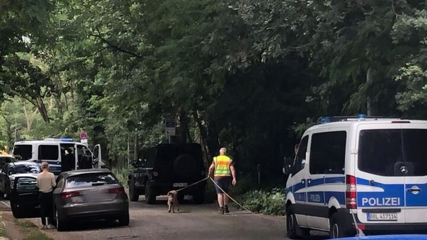 Die Polizei mit Spürhunden: Sie versuchen, die große Raubkatze ausfindig zu machen.