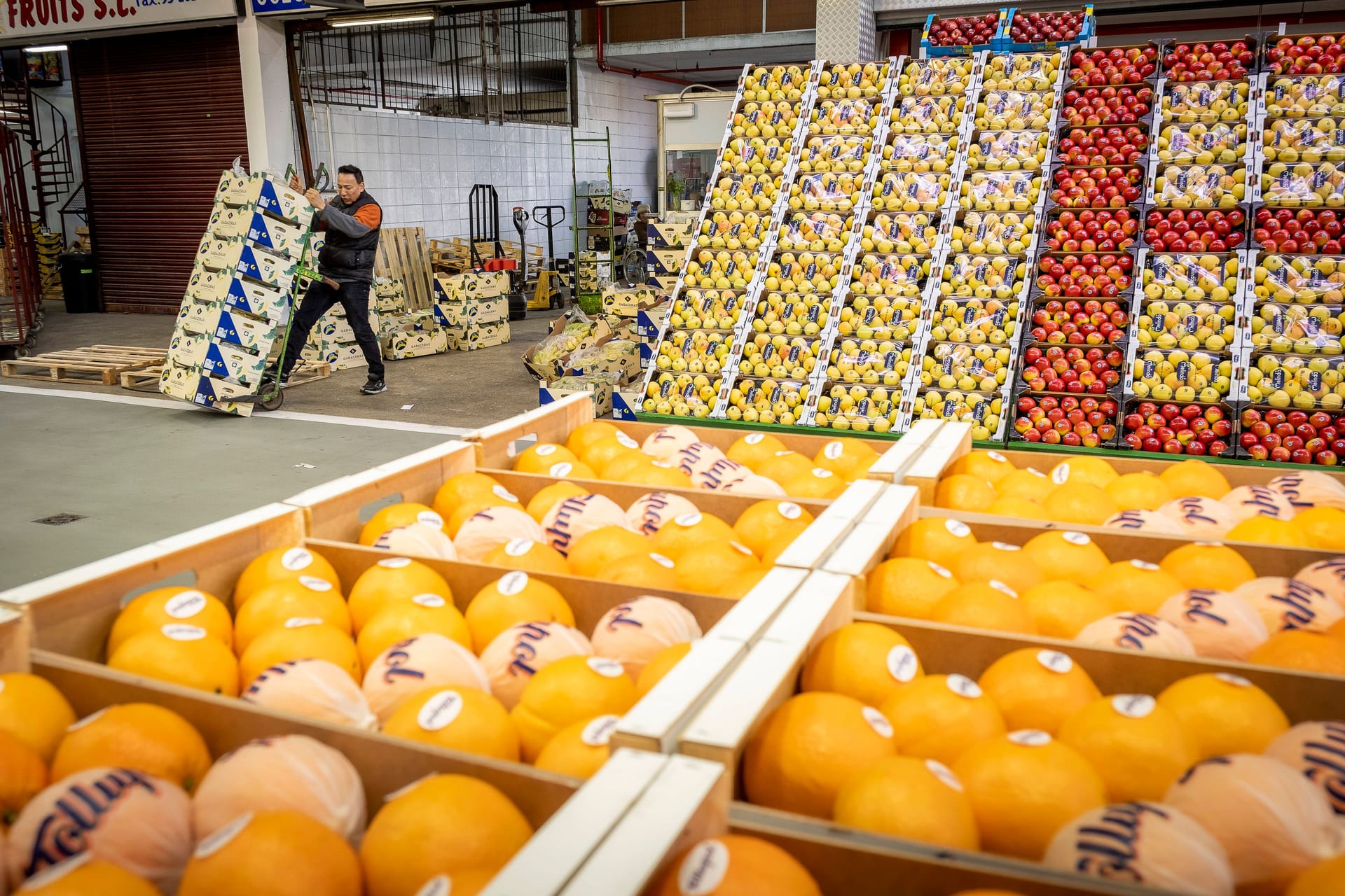 Orangen in Barcelona: Der wichtigste Lieferant für Obst und Gemüse in Deutschland ist Spanien. Orangen in Barcelona: Der wichtigste Lieferant für Obst und Gemüse in Deutschland ist Spanien.
