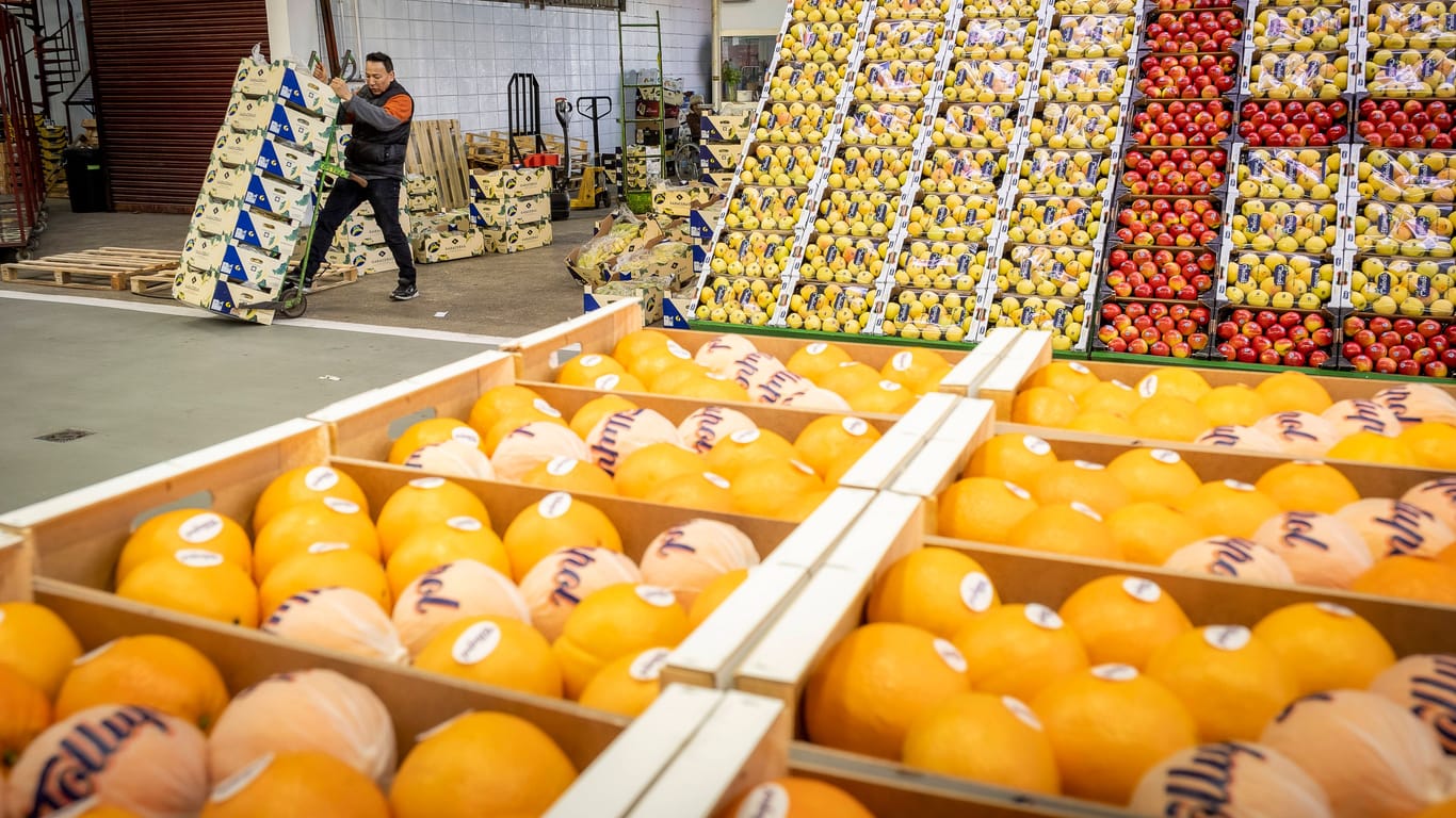 Orangen in Barcelona: Der wichtigste Lieferant für Obst und Gemüse in Deutschland ist Spanien.