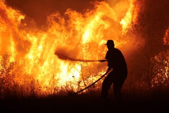 Ein Feuerwehrmann kämpft in Griechenland gegen die Flammen: In Südeuropa brennt es aktuell in etlichen Ländern.