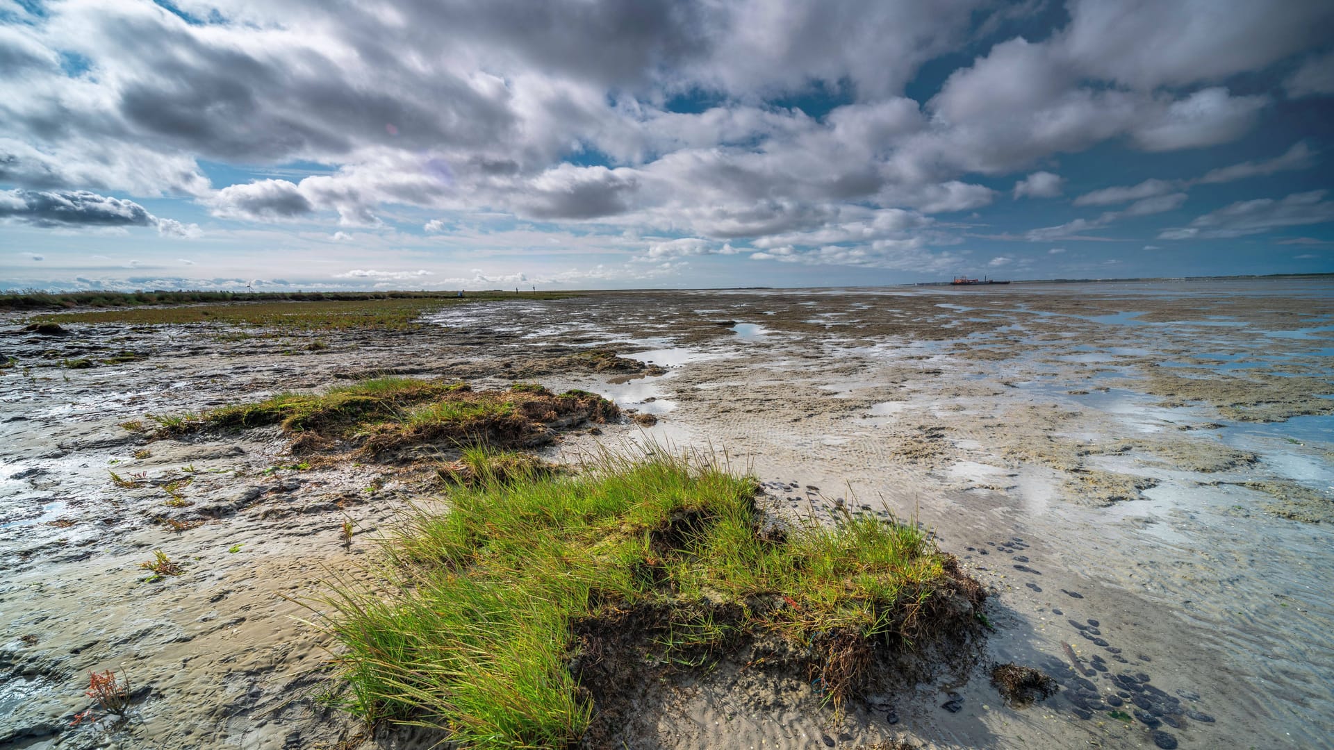 Das Wattenmeer auf deutscher Seite bei Ebbe: Das Gebiet, das sich auch entlang der niederländischen Küste zieht, ist eines der wichtigsten Schutzgebiete der Nordsee.