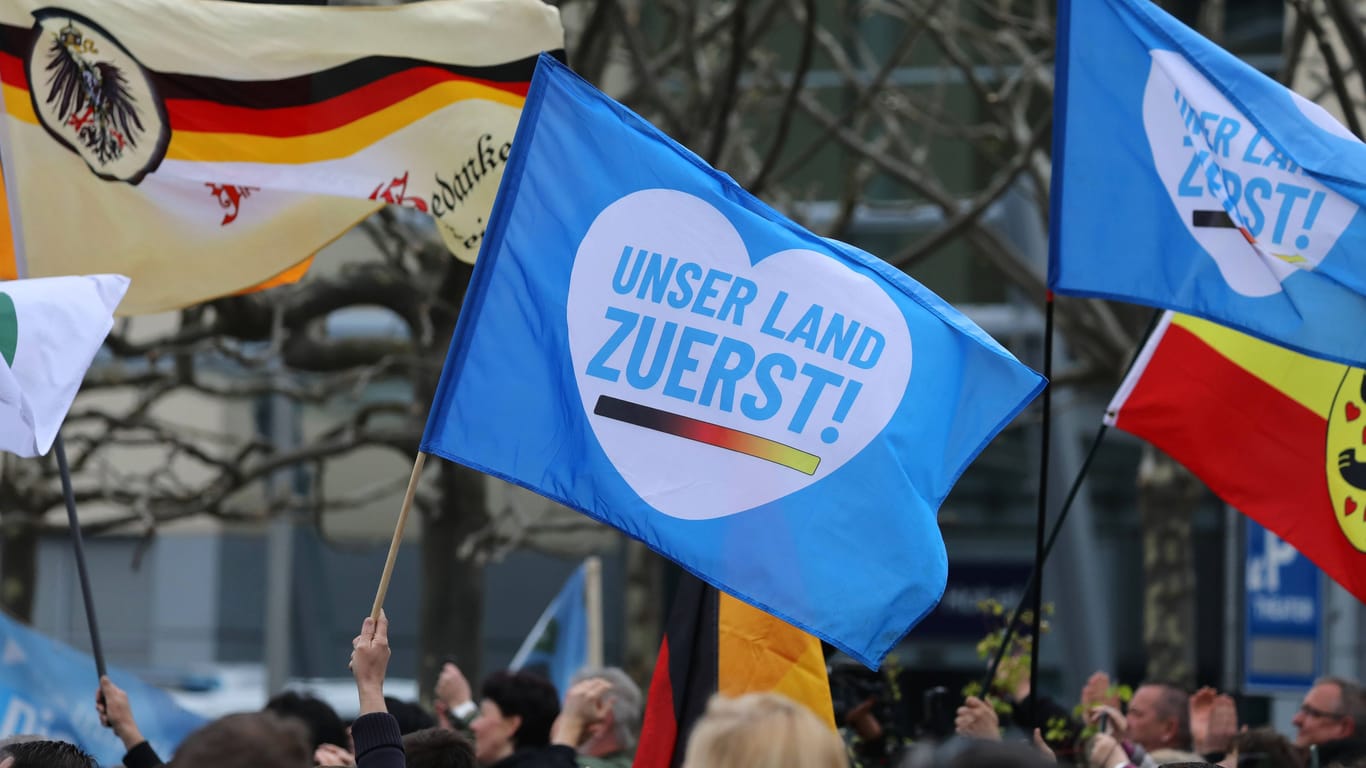 Fahnen auf einer Demo der AfD in Erfurt (Archivbild): Die AfD verspricht ein anderes, ein neues Deutschland. Was tatsächlich dahinter steht, zeigt sich im Parteiprogramm und in den Einstellungen der Wähler.