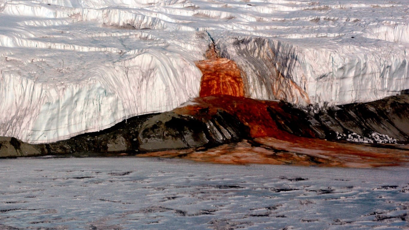 "Blutstrom" in der Antarktis: Das Rätsel um die rote Färbung haben US-Wissenschaftler offenbar gelöst.