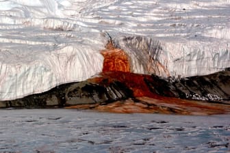 "Blutstrom" in der Antarktis: Das Rätsel um die rote Färbung haben US-Wissenschaftler offenbar gelöst.