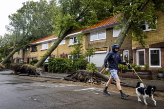 In Haarlem fielen auf einer Straße vier Bäume auf angrenzende Häuser: Für Teile des Landes gilt die Unwetter-Warnstufe Rot.