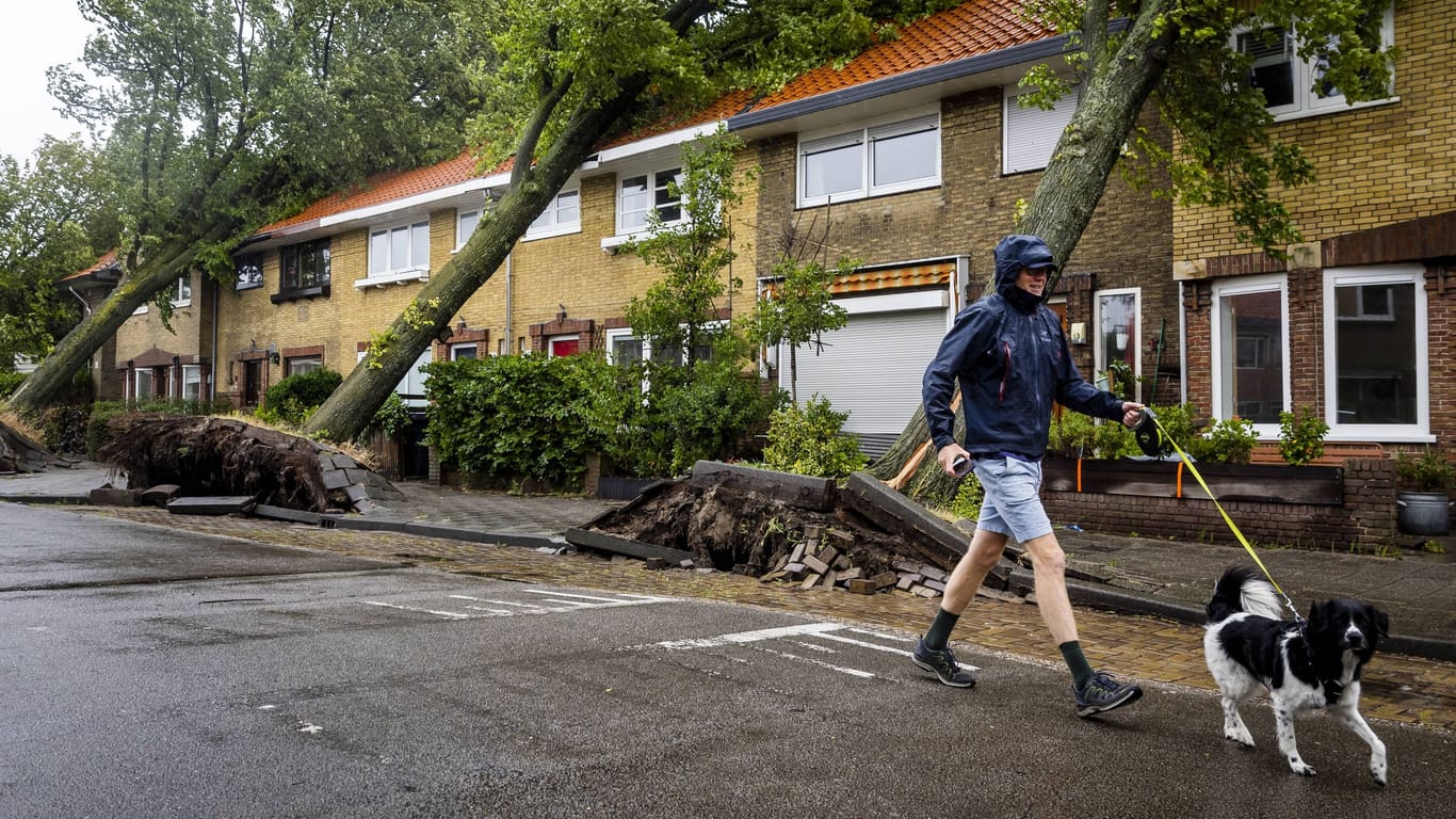 In Haarlem fielen auf einer Straße vier Bäume auf angrenzende Häuser: Für Teile des Landes gilt die Unwetter-Warnstufe Rot.