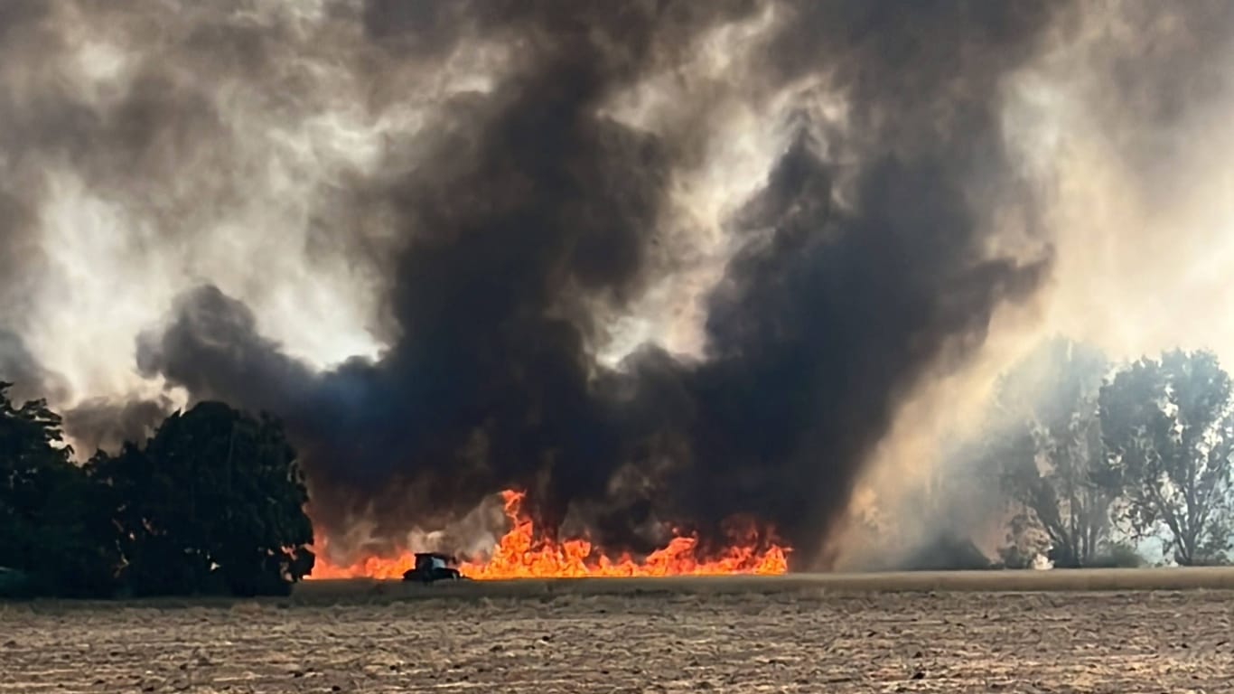Feldbrand (Symbolbild): Die Flammen in Michelau bedrohten mehrere Häuser.