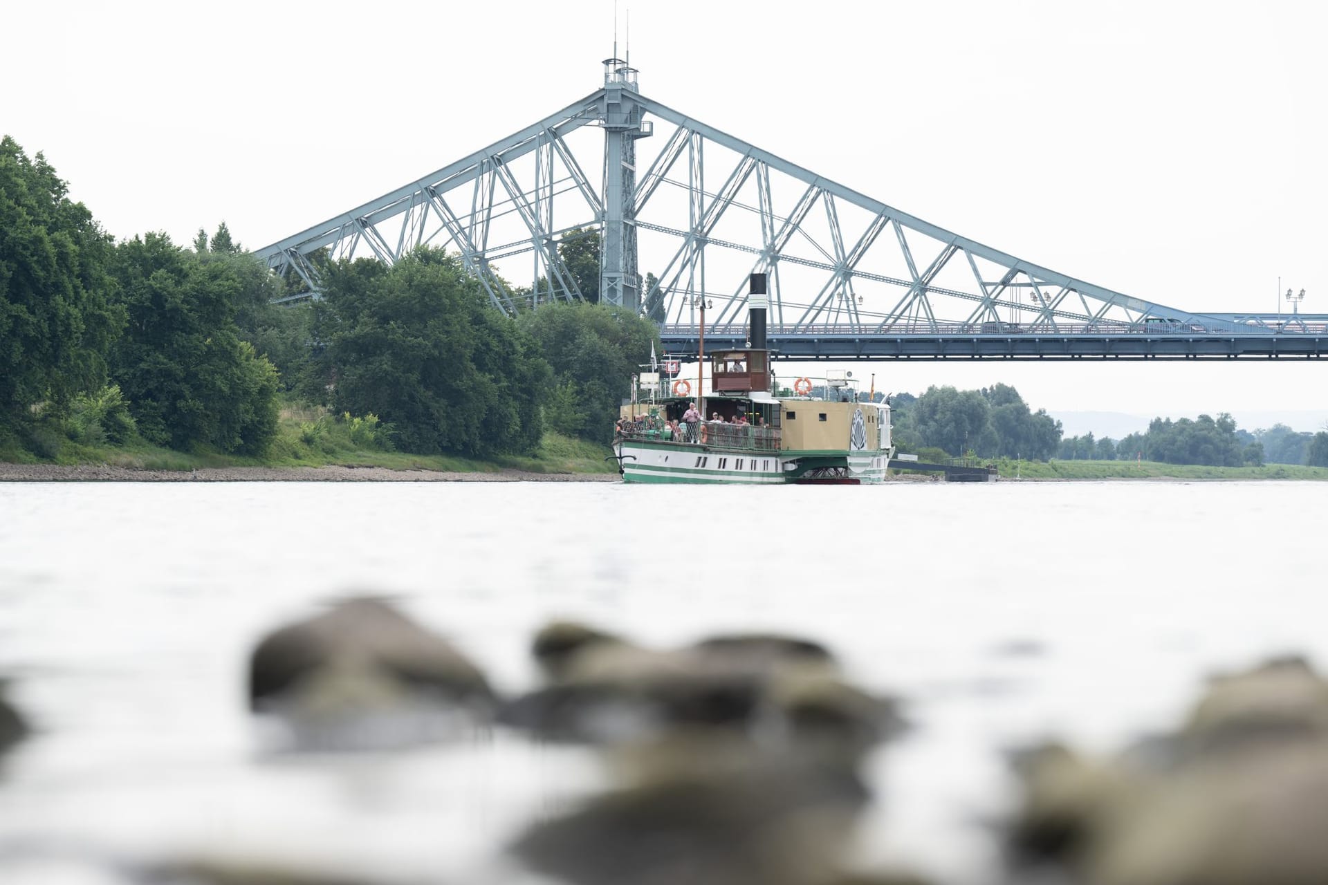 Ein historischer Dampfer der Sächsischen Dampfschifffahrt fährt vor der Elbbrücke Blaues Wunder auf der Elbe. Das Niedrigwasser der Elbe zwingt die Weiße Flotte Sachsen zum Verzicht auf weitere Linien.