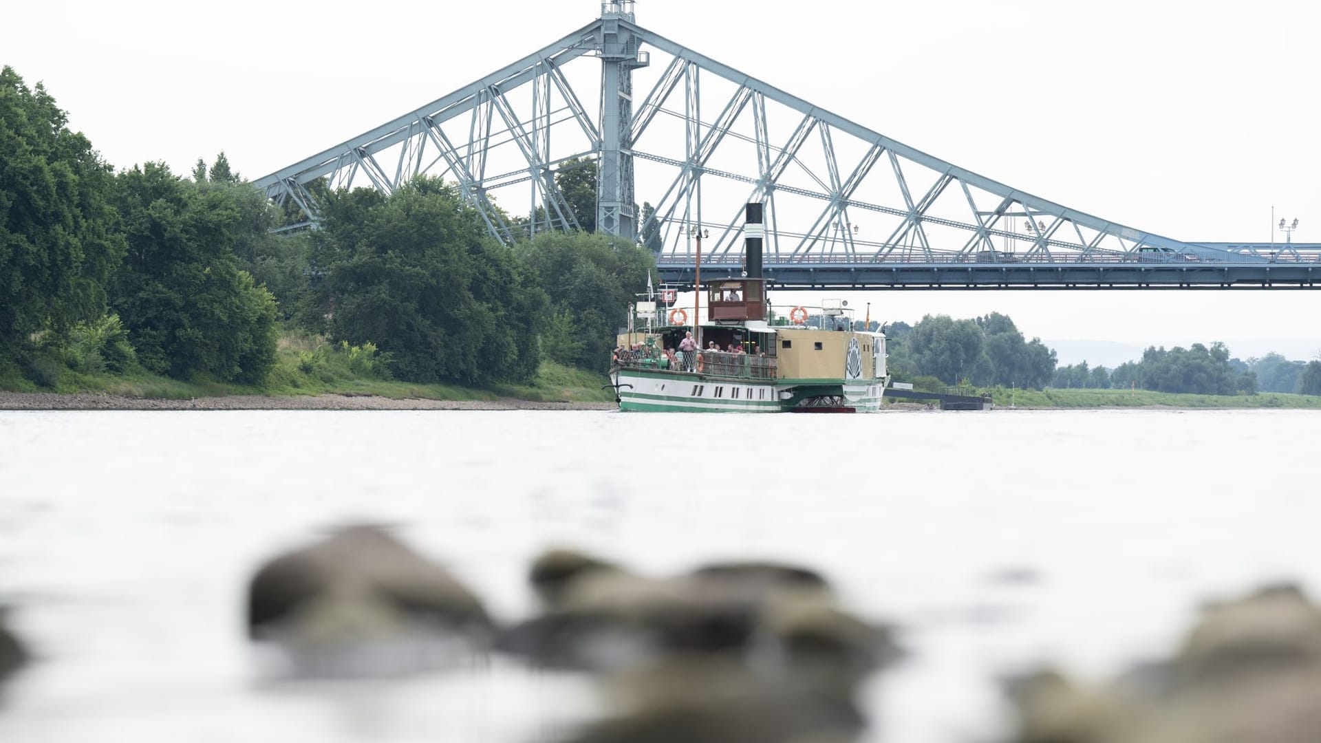 Ein historischer Dampfer der Sächsischen Dampfschifffahrt fährt vor der Elbbrücke Blaues Wunder auf der Elbe. Das Niedrigwasser der Elbe zwingt die Weiße Flotte Sachsen zum Verzicht auf weitere Linien.