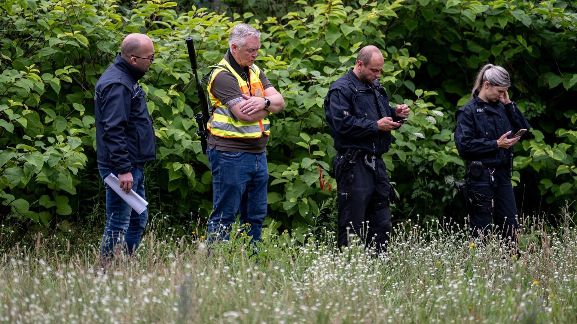 Löwen-Alarm in Berlin und Brandenburg