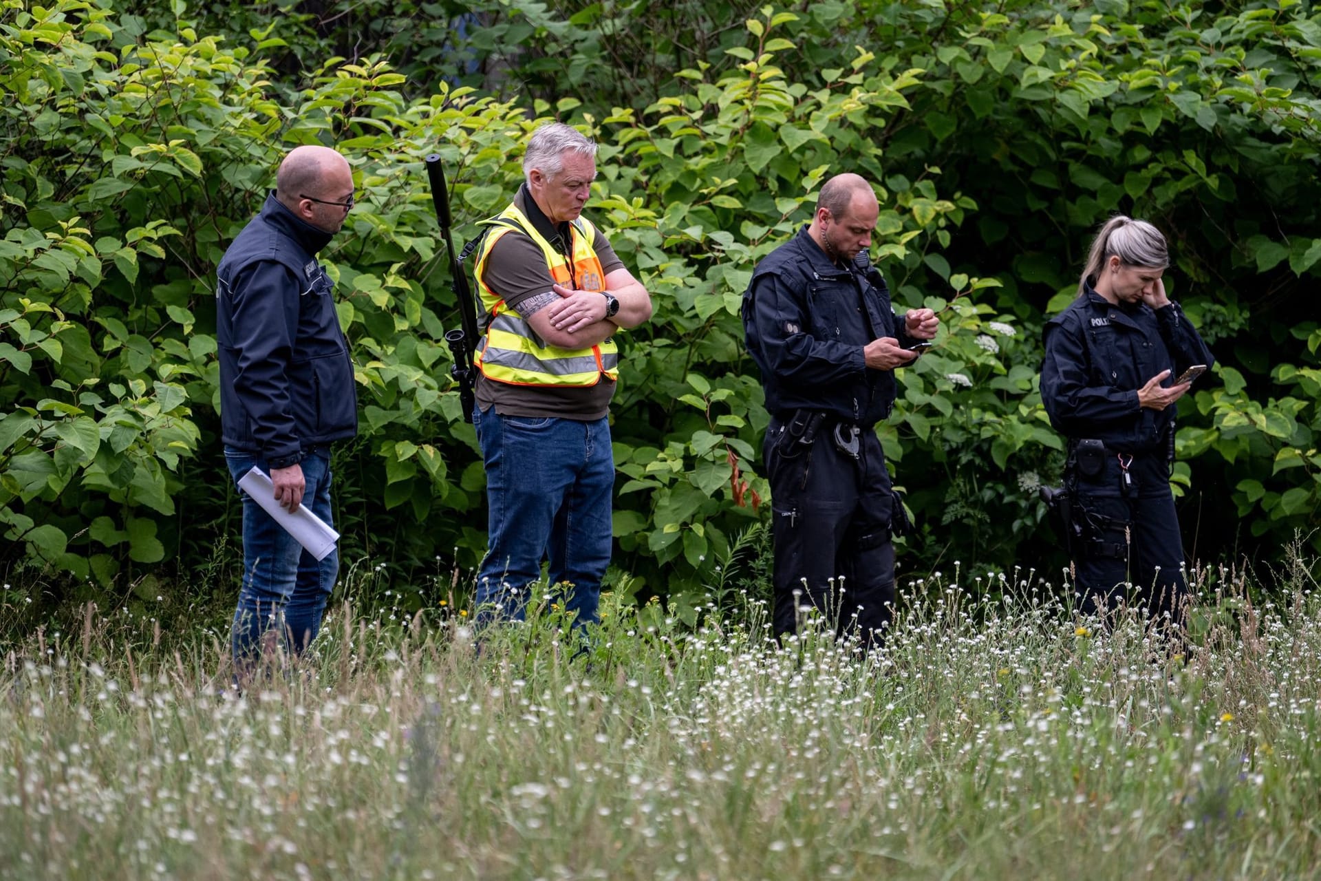 Löwen-Alarm in Berlin und Brandenburg