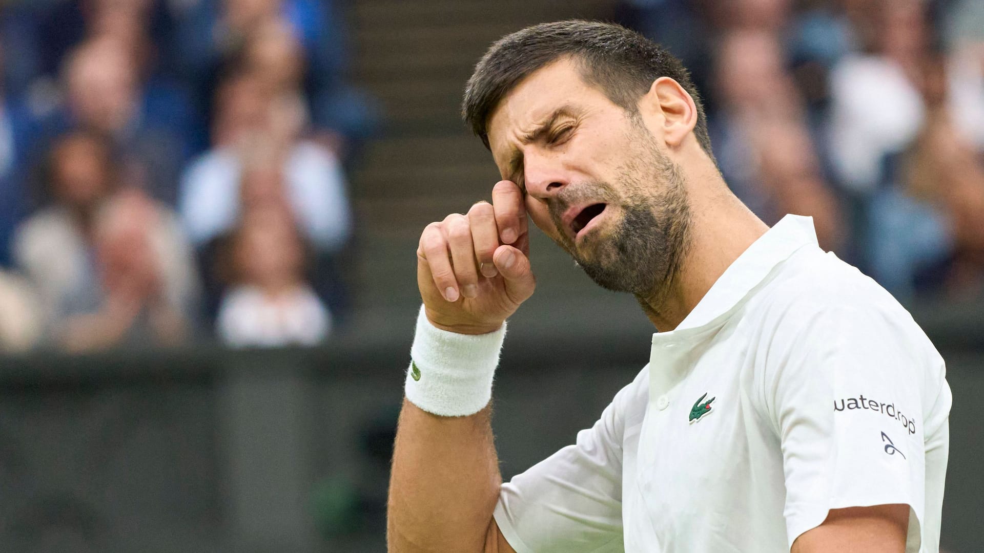 Novak Djokovic: Er steht im Finale von Wimbledon.