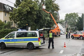 Feuerwehrleute sägen Ästen von einem beschädigten Baum: In Köln und Frechen sind mehrere Bäume entwurzelt worden.