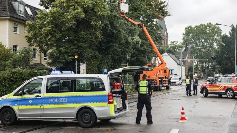 Feuerwehrleute sägen Ästen von einem beschädigten Baum: In Köln und Frechen sind mehrere Bäume entwurzelt worden.