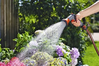 Die besten Gartenbrausen zum Bewässern Ihrer Pflanzen.