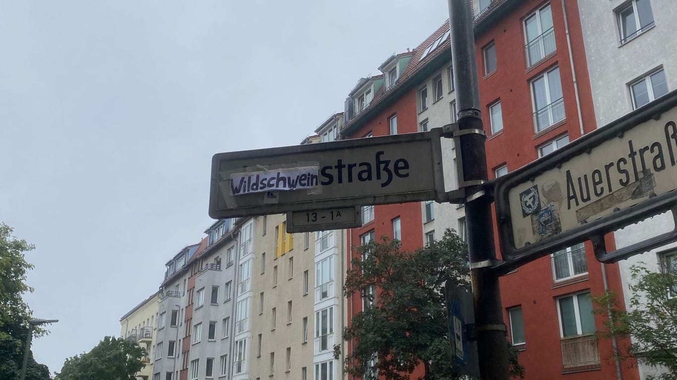 Unbekannte benennen Löwestraße in Berlin in Wildschweinstraße um