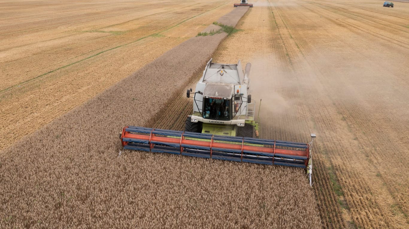 Ein Mähdrescher erntet Weizen (Symbolbild): Die Ukraine gilt als "Kornkammer der Welt".