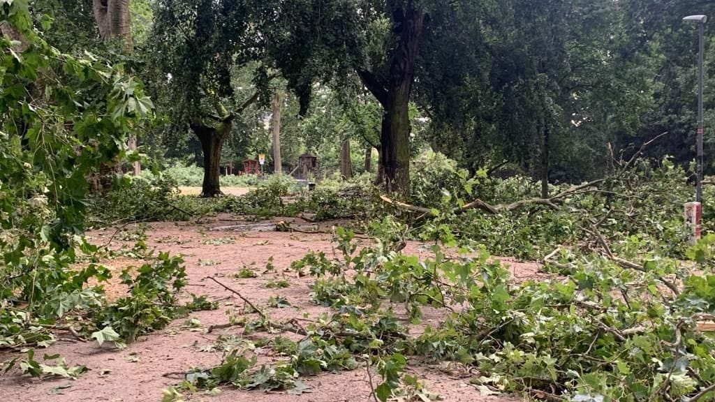 Kölner Stadtgarten: Die Aufräumarbeiten nach der Verwüstung dauern an.