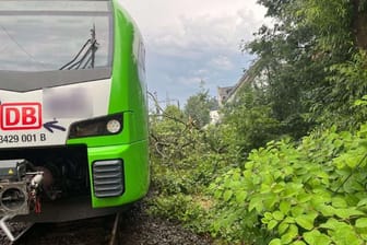 S-Bahn 9: Der Fahrer sah den Baum noch rechtzeitig und machte eine Schnellbremsung.
