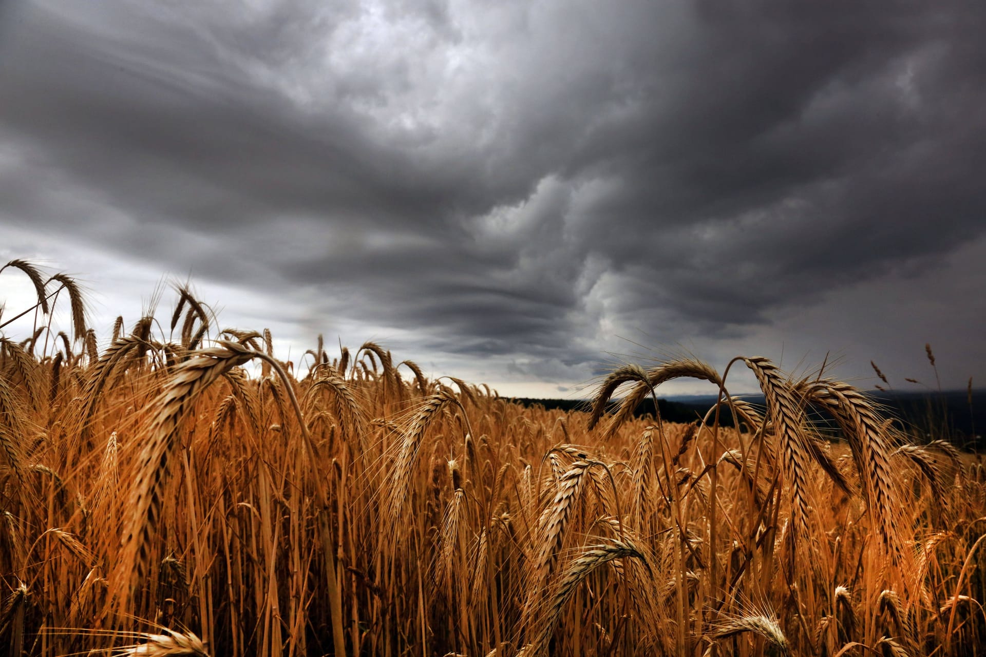 Dunkler Himmel in Pegnitz: Besonders im Süden Deutschlands warnt der Deutsche Wetterdienst vor Unwettern.